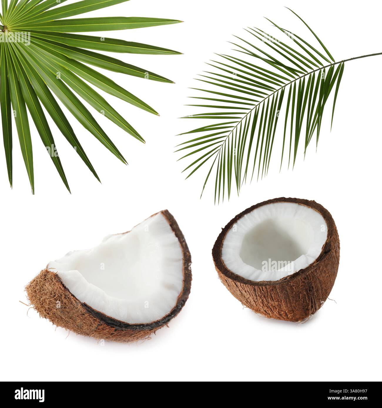 Coconut pieces and green palm leaves isolated on white Stock Photo