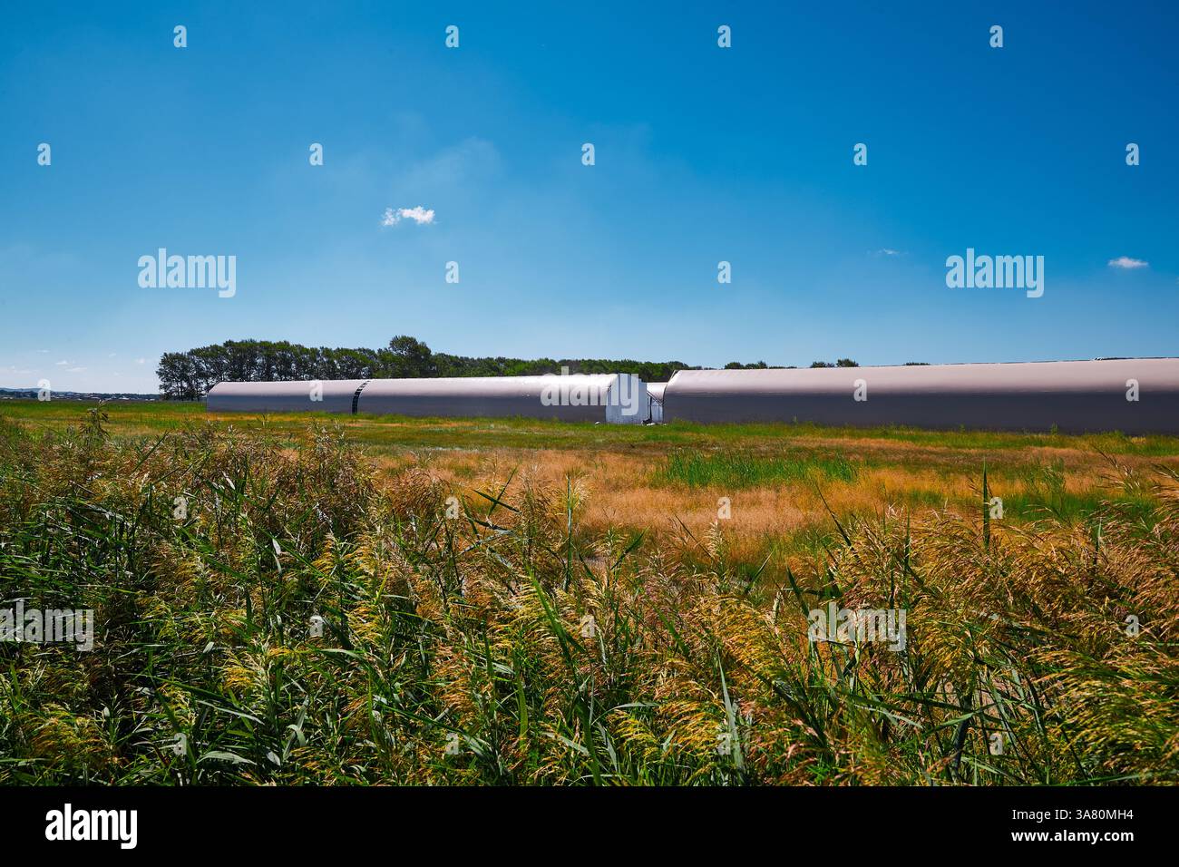 Countryside Landscape with River and Greenhouse Stock Photo