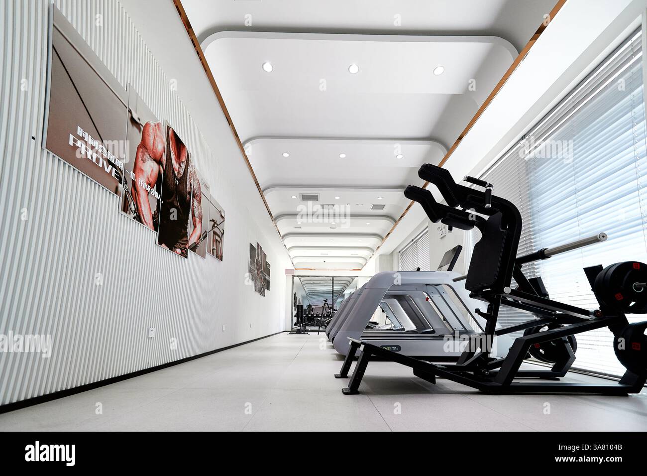 Modern Fitness Center Interior with Treadmills Stock Photo - Alamy