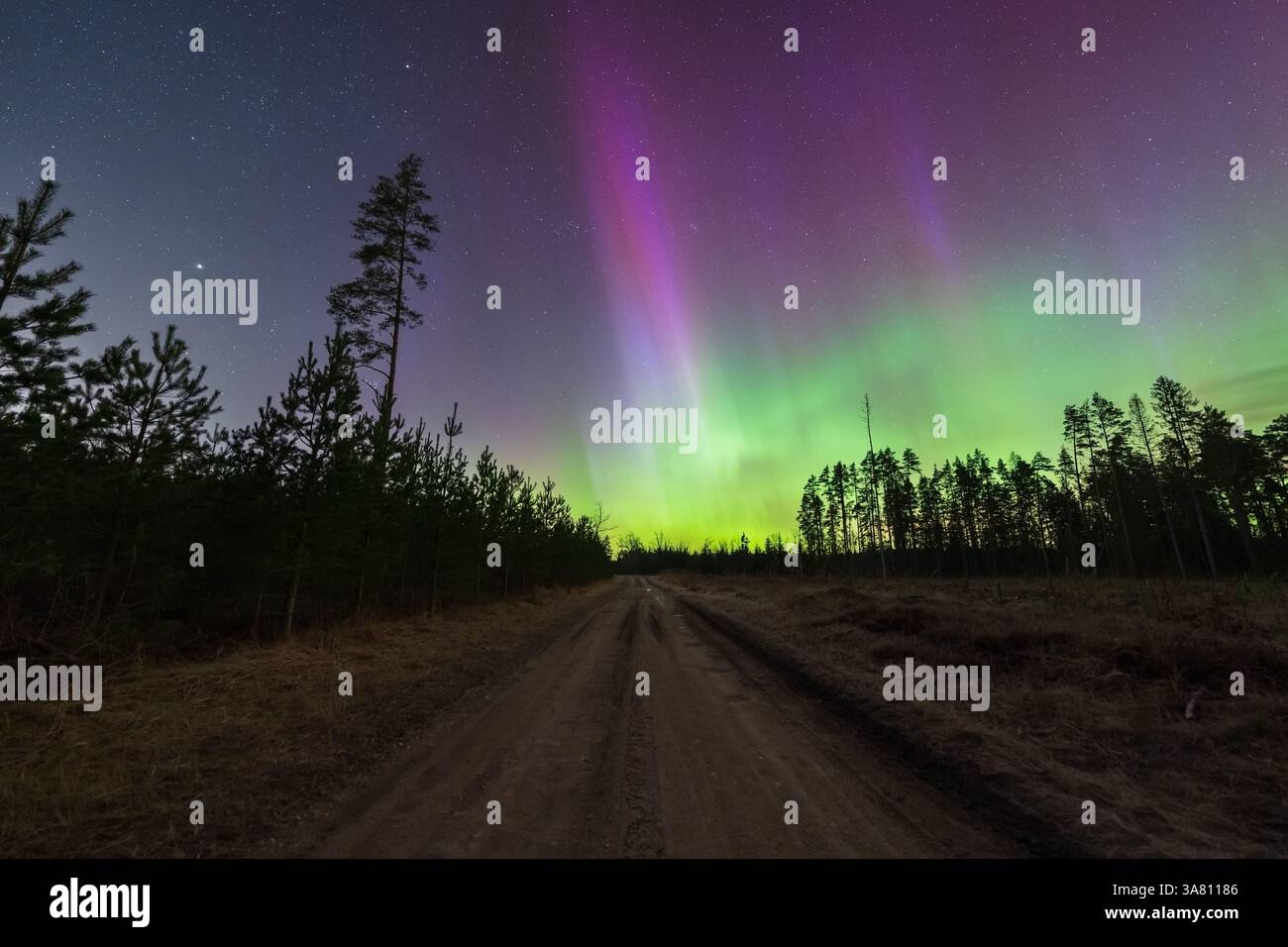 Vibrant green and purple northern lights illuminate the night sky over ...