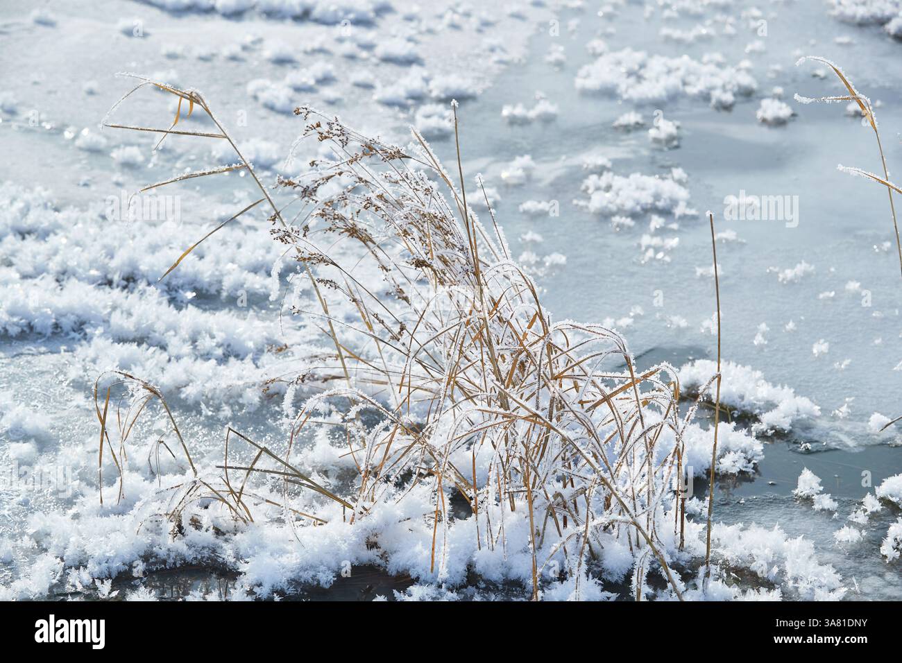 Frozen Rock with Ice Crystals Stock Photo