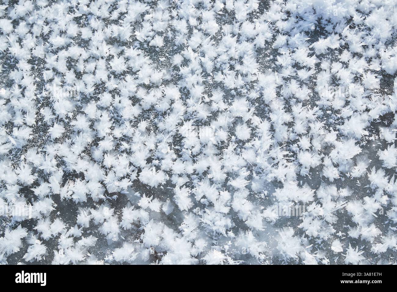 Frozen Rock with Ice Crystals Stock Photo