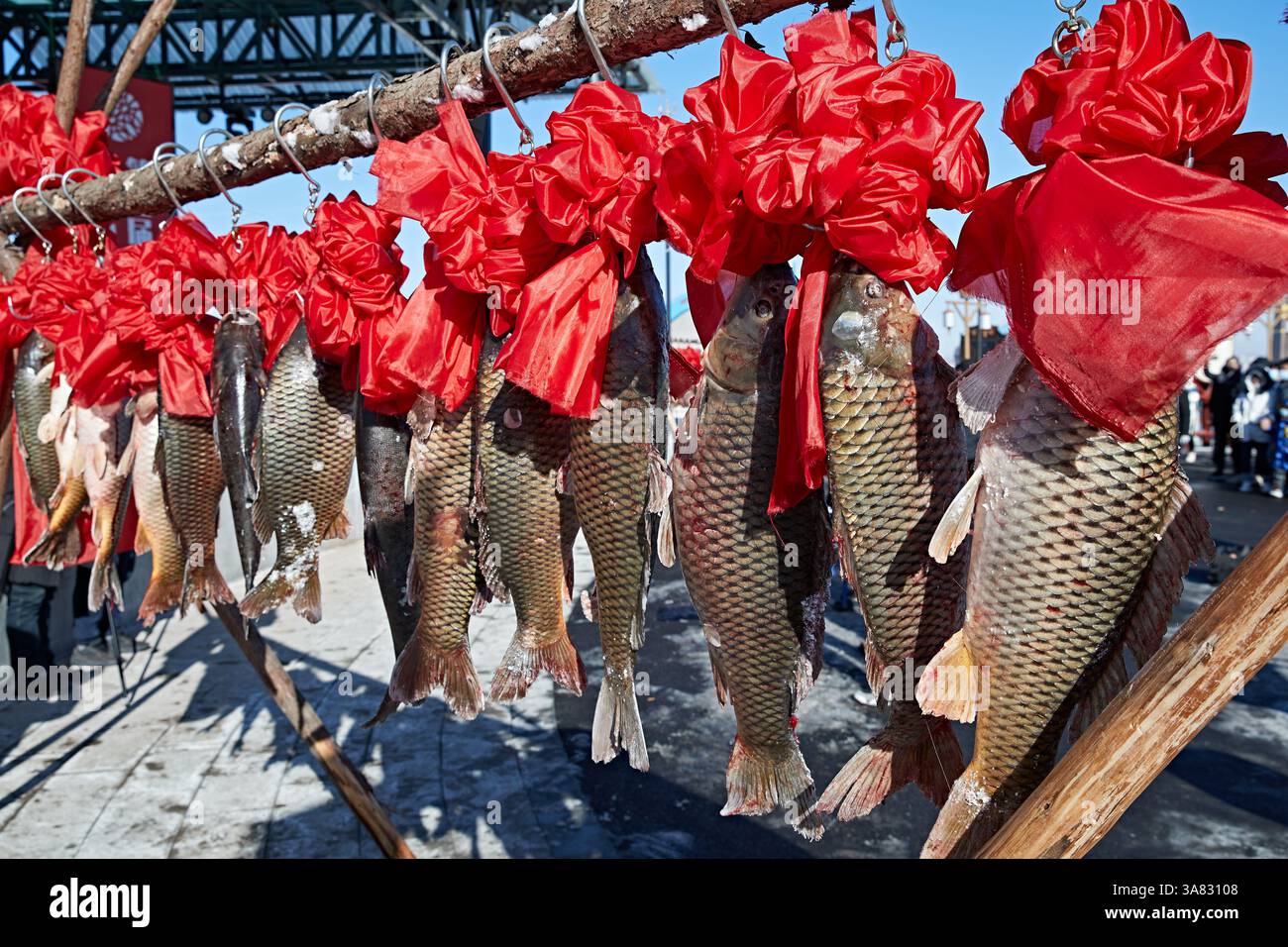 Fish Wrapping Around Fresh Fish Displayed with Red Cloth Wrapping Stock Photo - Alamy