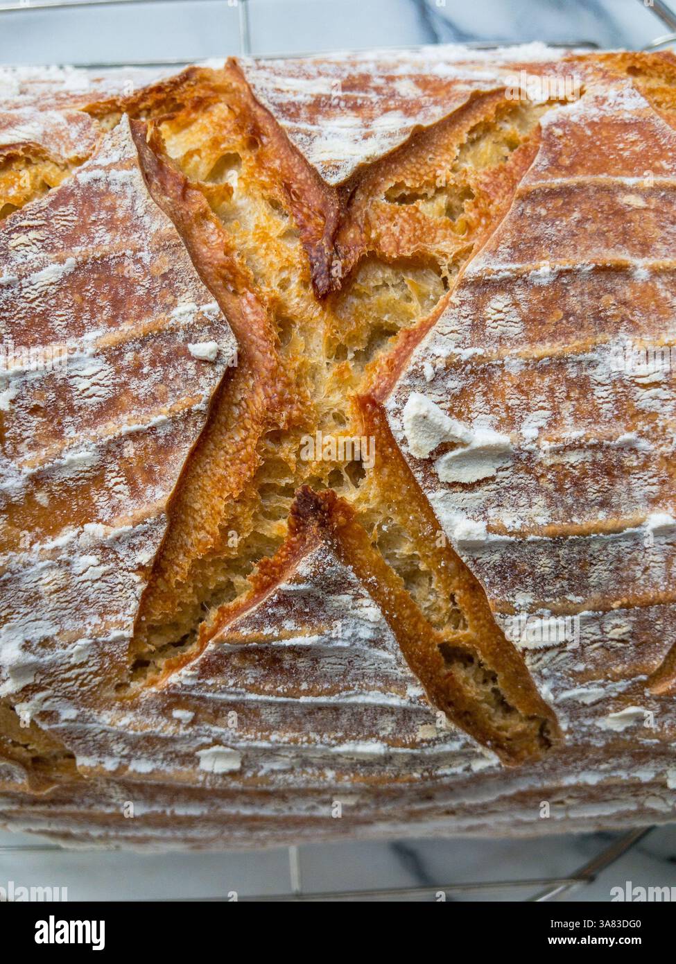 Scored cross on the golden, crusty surface of a freshly baked sourdough loaf, with floury marks from the banneton proving basket. Stock Photo