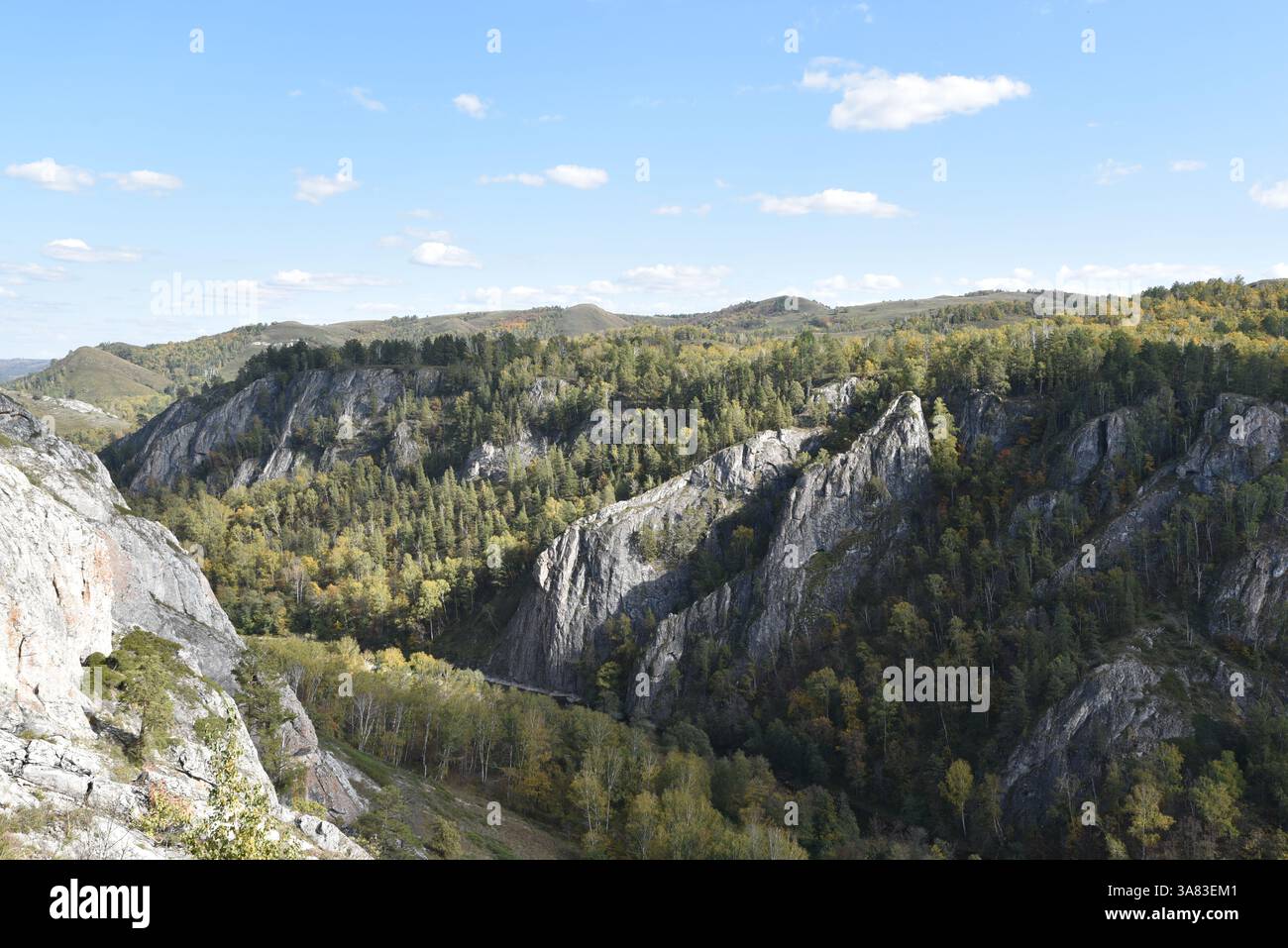 Showcasing lush vegetation hi-res stock photography and images - Alamy