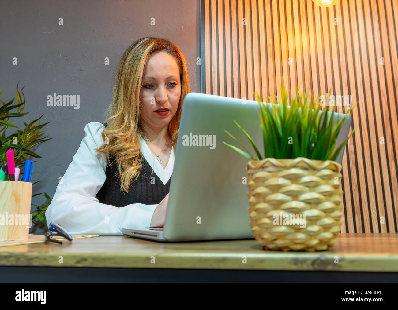 Focused businesswoman working on laptop in modern office Stock Photo