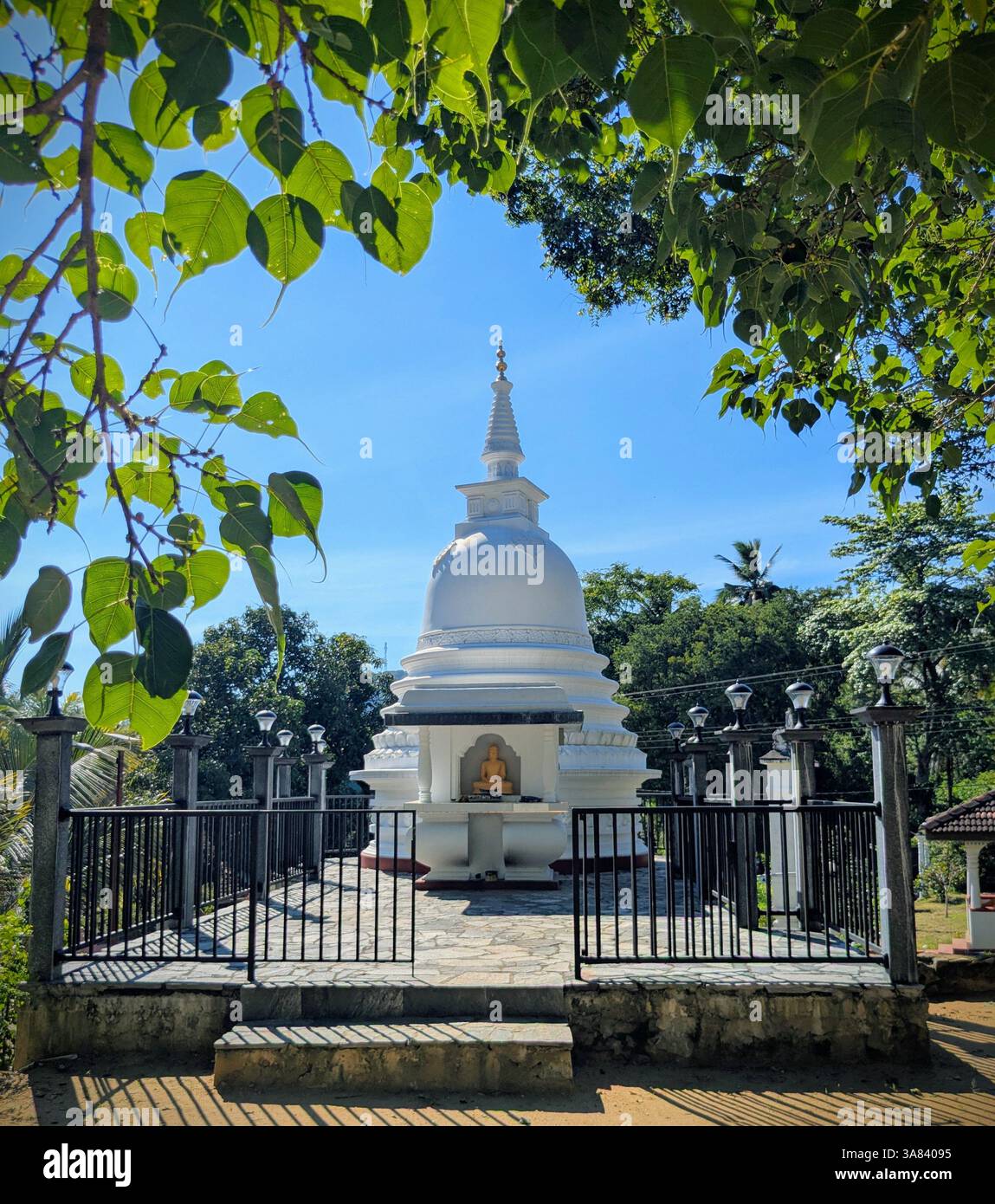 Buddhist - Smartphone Captured Stock Image
