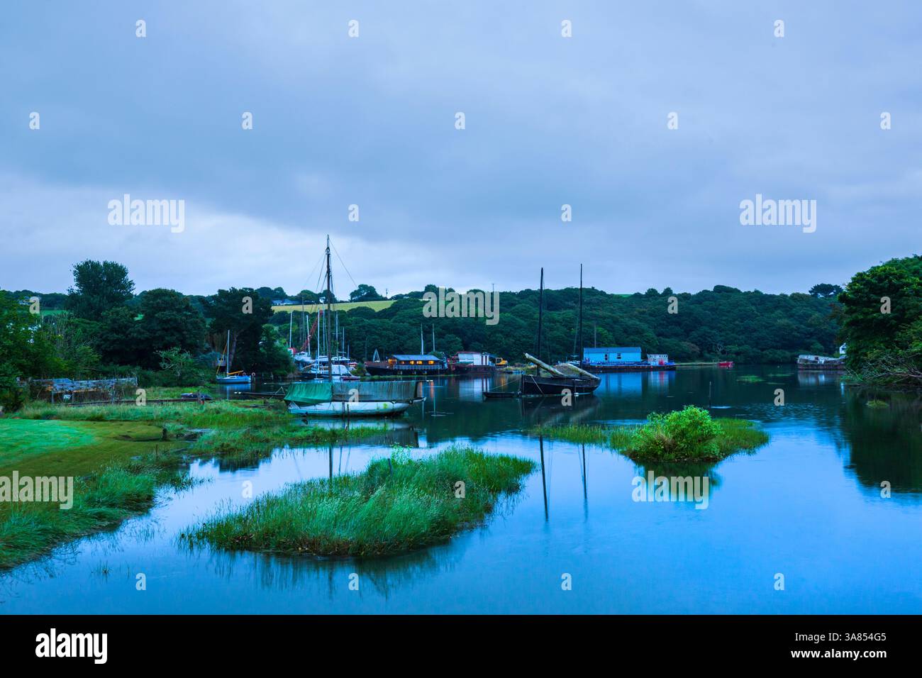 Seal sanctuary at gweek hi-res stock photography and images - Alamy