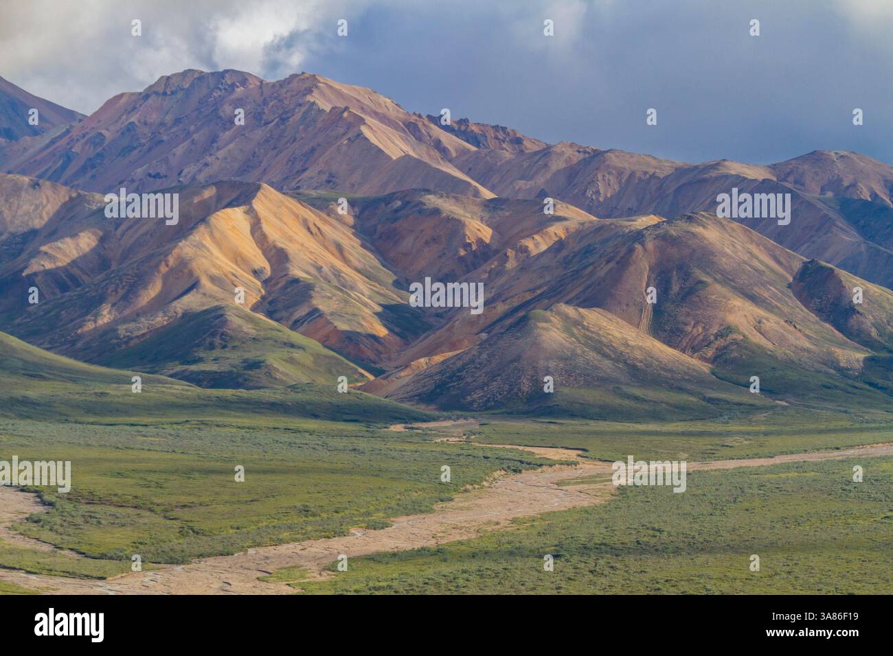 View of the Polychrome Mountains from lookout point on the park road inside Denali National Park and Preserve, Alaska, United States of America Stock Photo