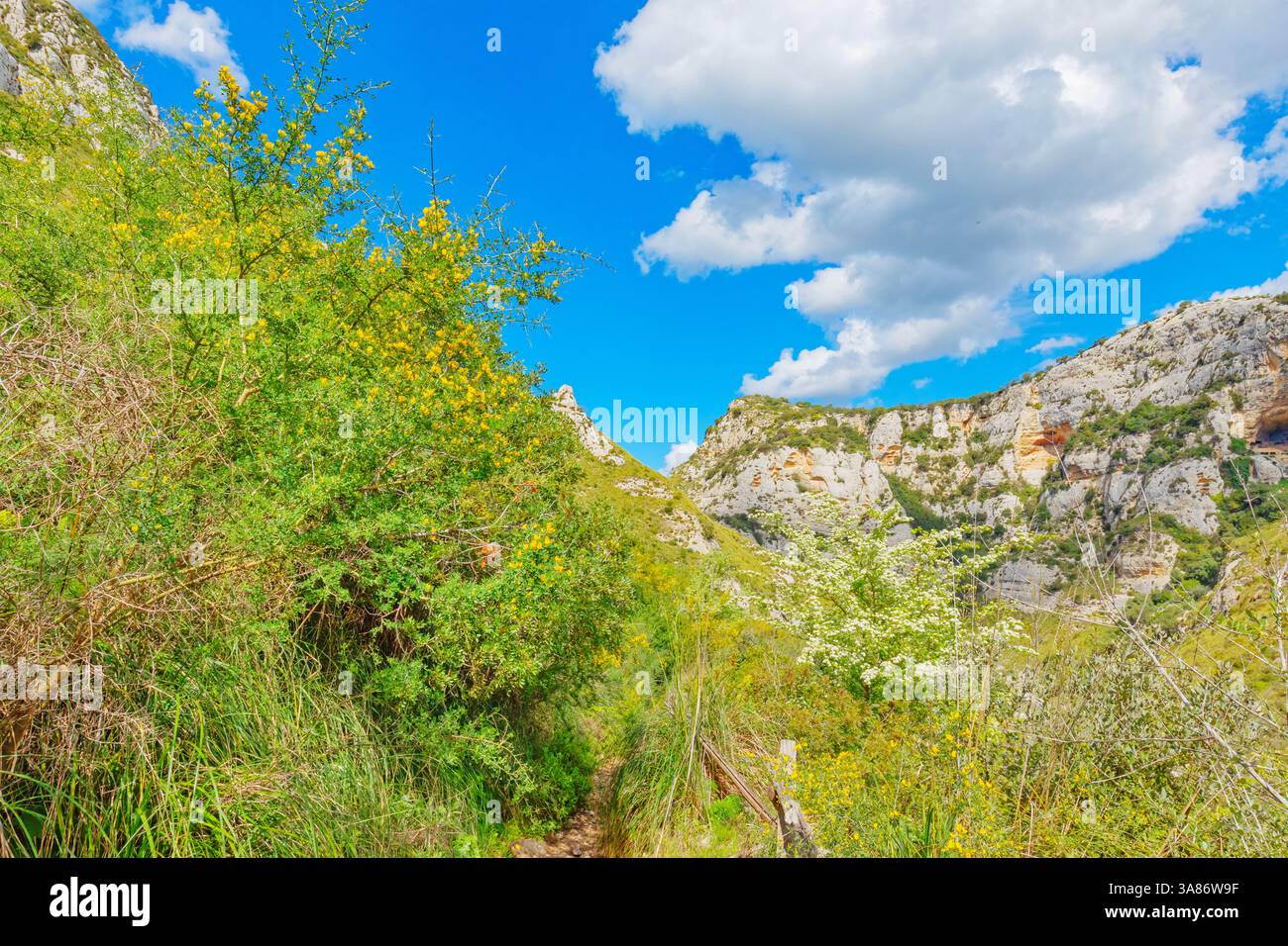 View of Cavagrande Valley, Avola, Noto Valley, Sicily, Italy Stock Photo
