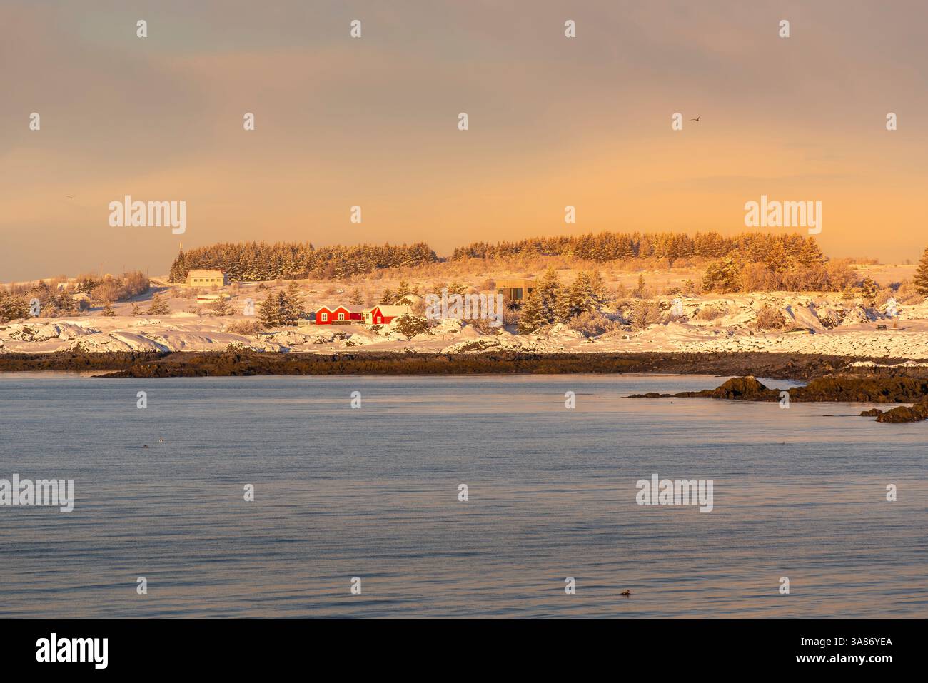 View of Alftanes headland from Hafnarfjorour in winter, Hafnarfjorour, Iceland Stock Photo