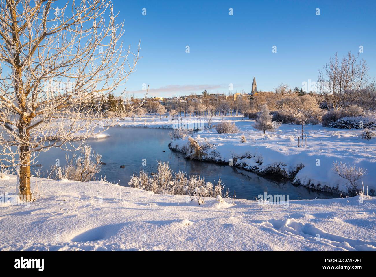 View of Tjornin park and Hallgrimskirkja on a sunny day in winter, Reykjavik, Iceland Stock Photo