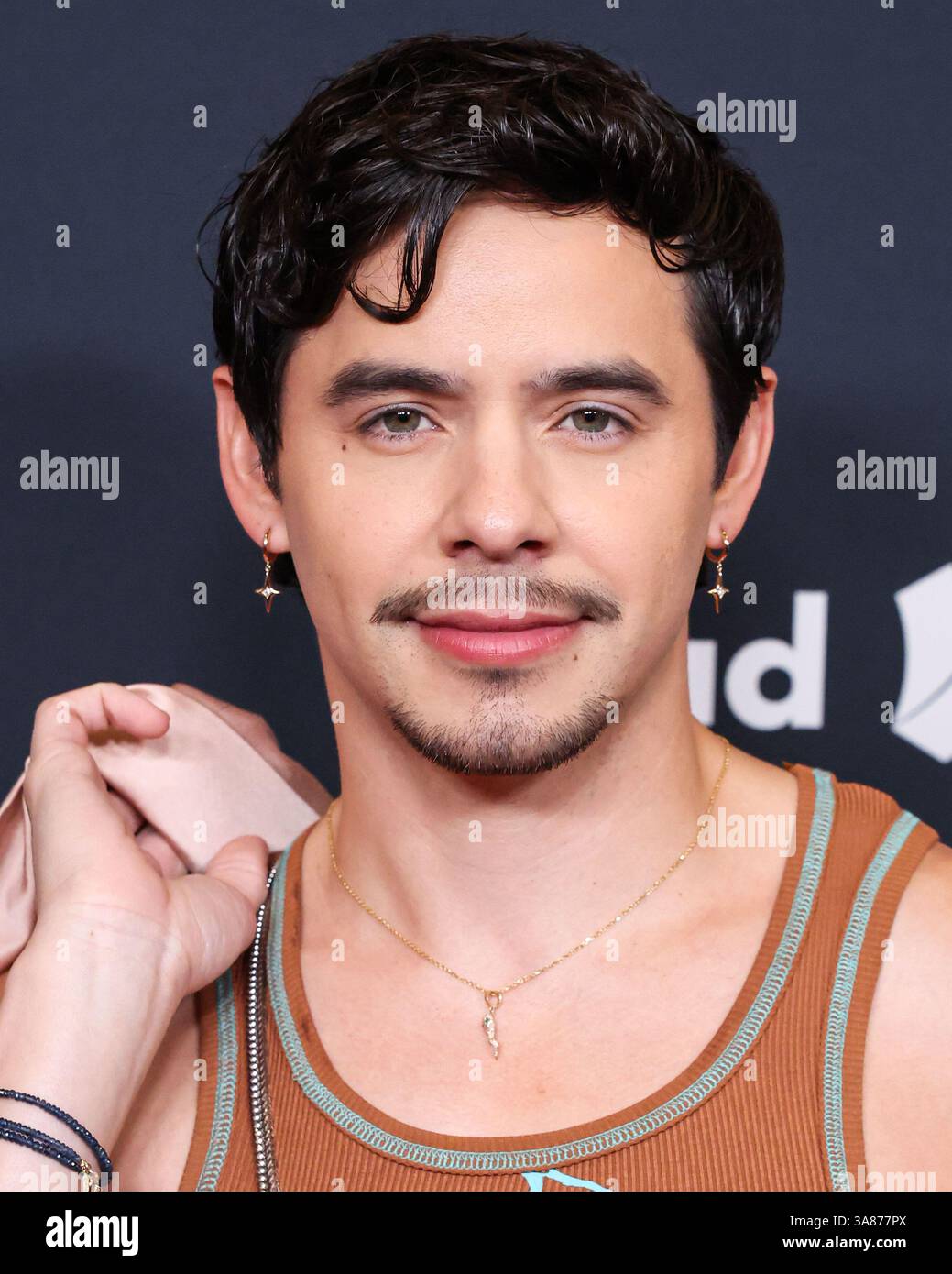 BEVERLY HILLS, LOS ANGELES, CALIFORNIA, USA - MARCH 27: David Archuleta arrives at the 36th Annual GLAAD Media Awards Los Angeles held at The Beverly Hilton Hotel on March 27, 2025 in Beverly Hills, Los Angeles, California, United States. (Photo by Xavier Collin/Image Press Agency) Stock Photo