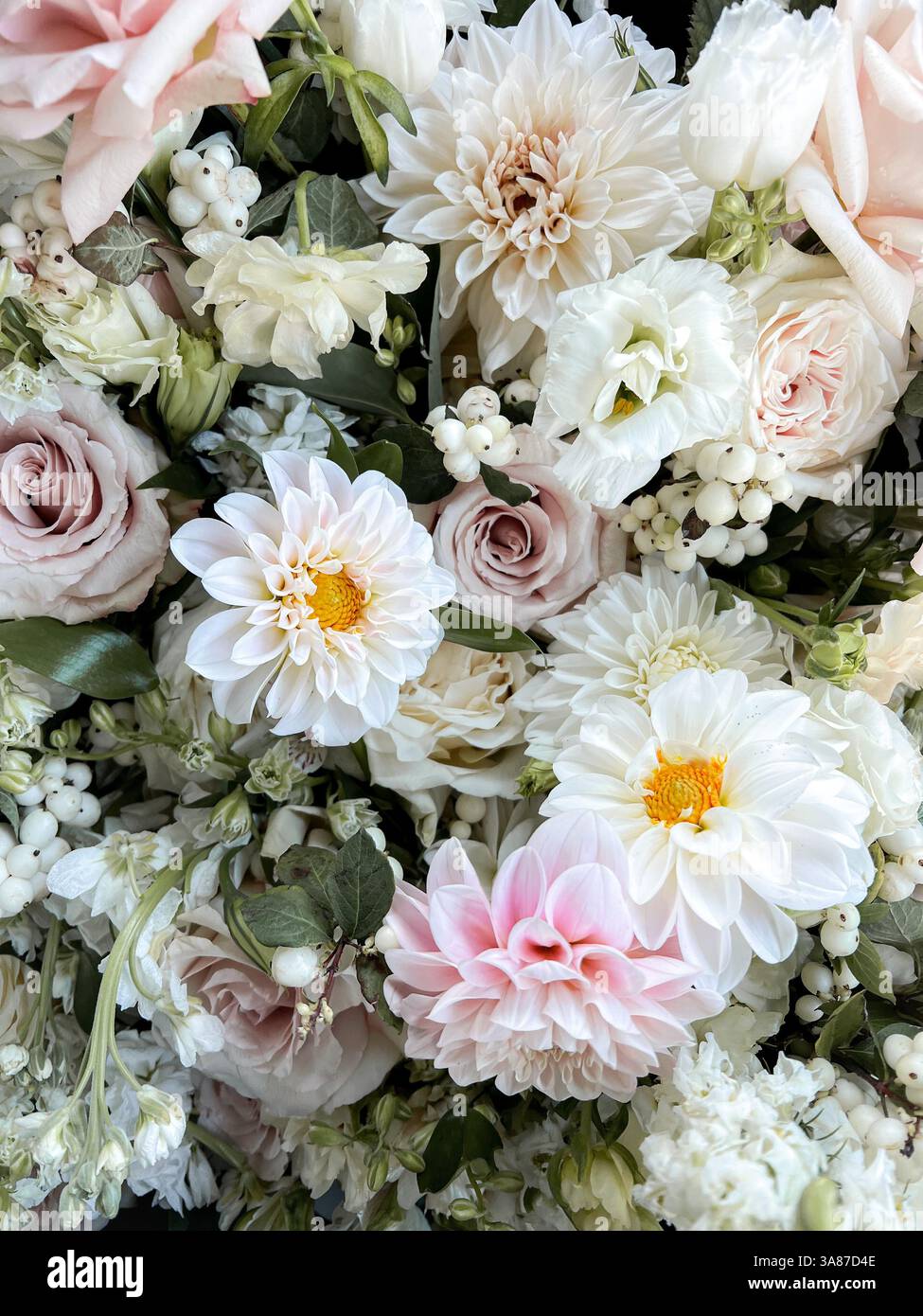 Flower garden in bloom - Smartphone Captured Stock Image