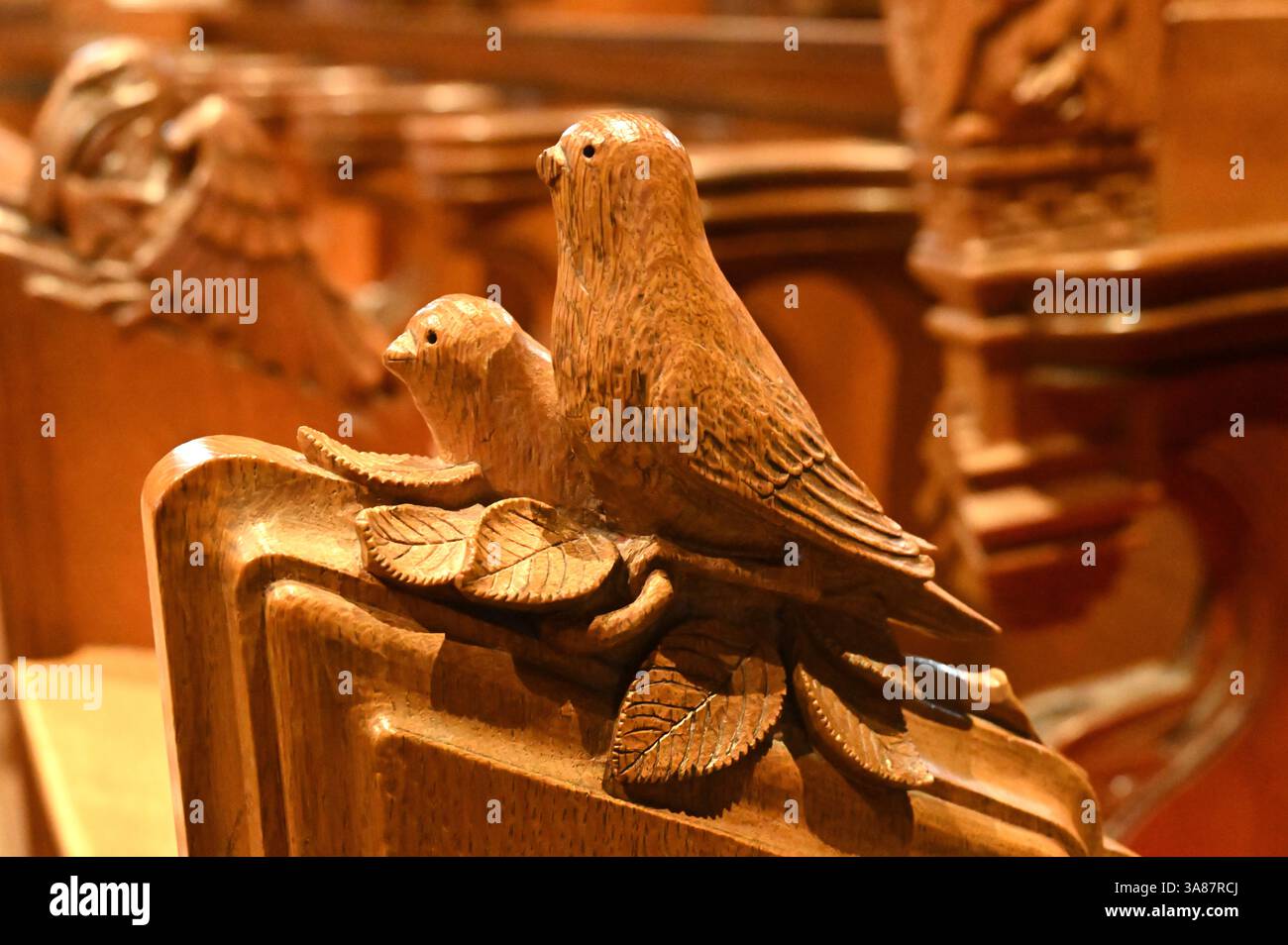 birds and leaves. One of the wooden animal pew end carvings at St Magnus Cathedral, Kirkwall, Orkney Scotland Stock Photo