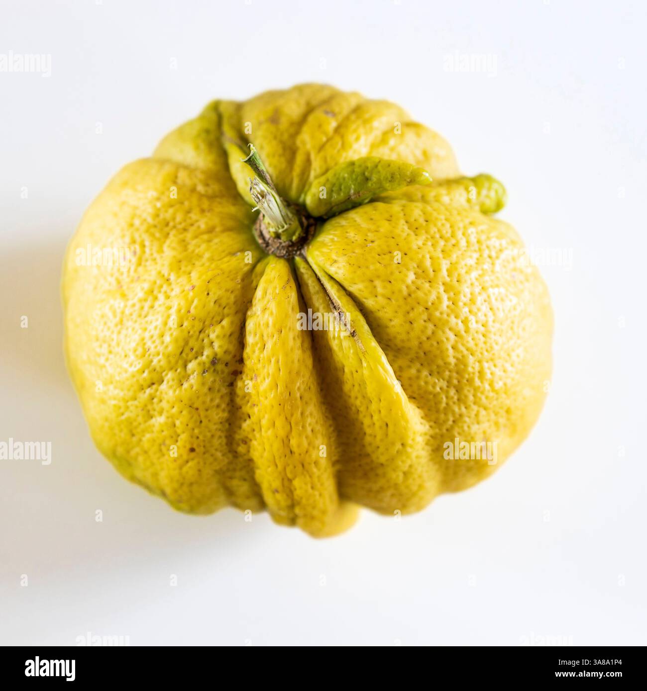 Close-up of a wrinkled yellow citrus fruit with deep grooves on a white ...