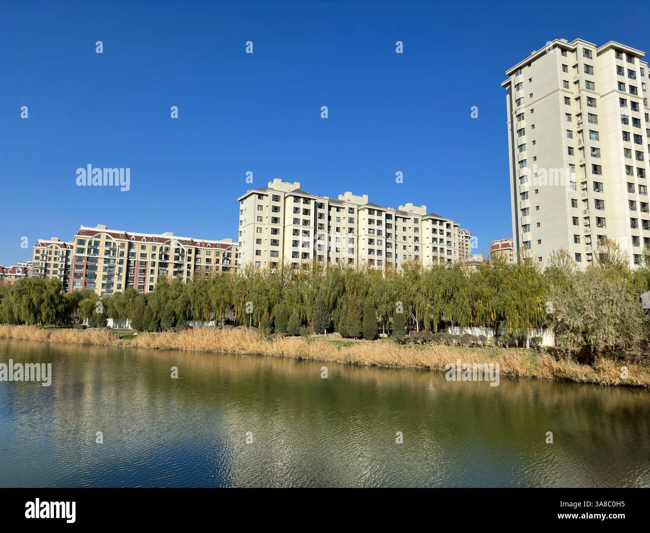 Buildings line the waters edge reflecting the tranquil blue sky above the lake. - Smartphone Captured Stock Image