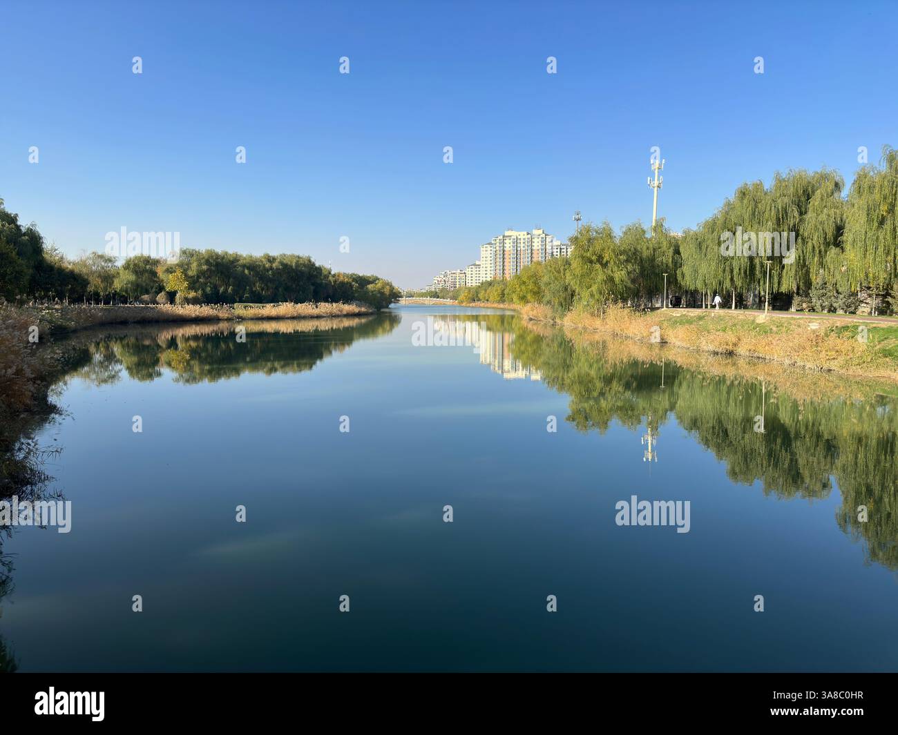 The serene river reflects the sky and surrounding landscape, providing a peaceful ambiance. - Smartphone Captured Stock Image