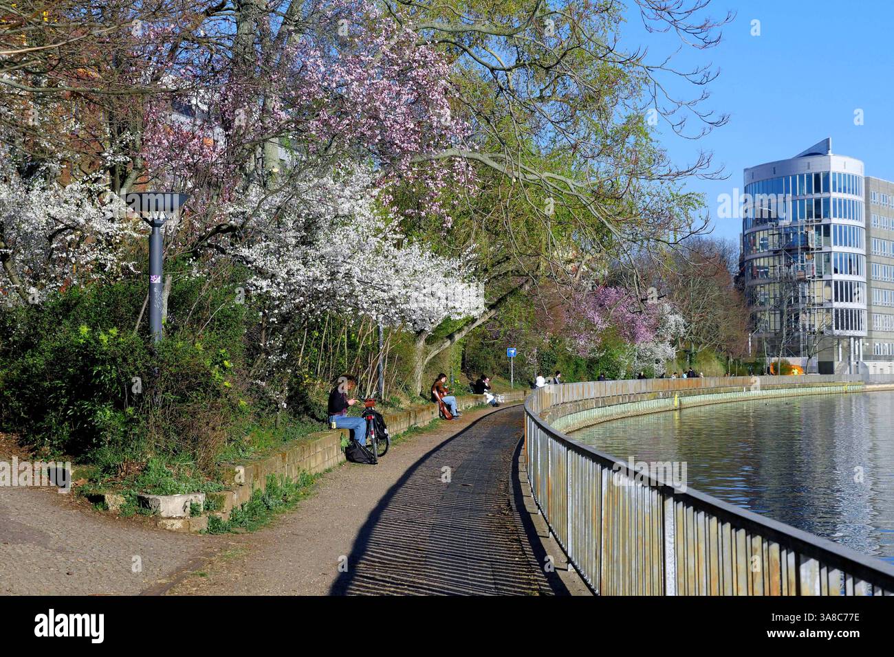 28.03.2025, Berlin - Deutschland. Frühling an der Spree, Bäume sind in ...