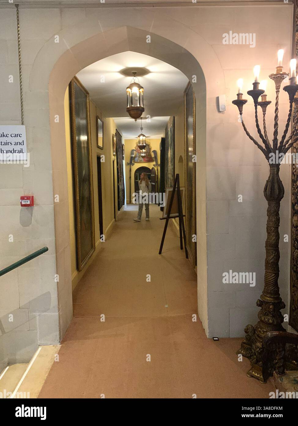 Anglesey Abbey Cambridgeshire UK England hall dog lights stand pictures carpets carpet decorations library Mary Queen of Scots Henry the eighth - Smartphone Captured Stock Image