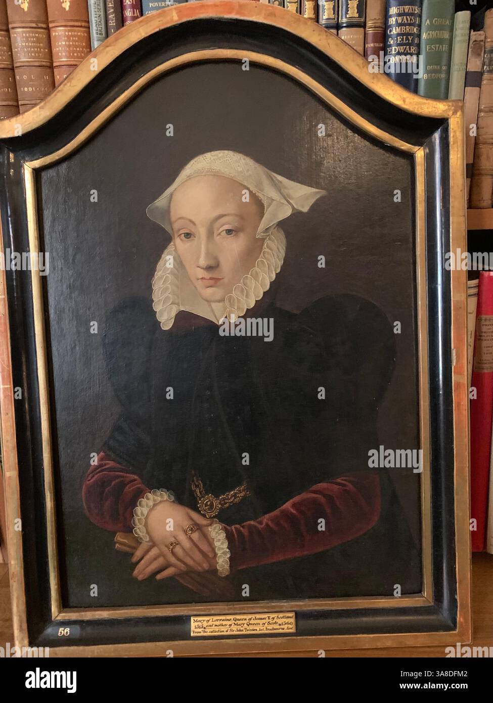 Anglesey Abbey Cambridgeshire UK England hall dog lights stand pictures carpets carpet decorations library Mary Queen of Scots Henry the eighth - Smartphone Captured Stock Image