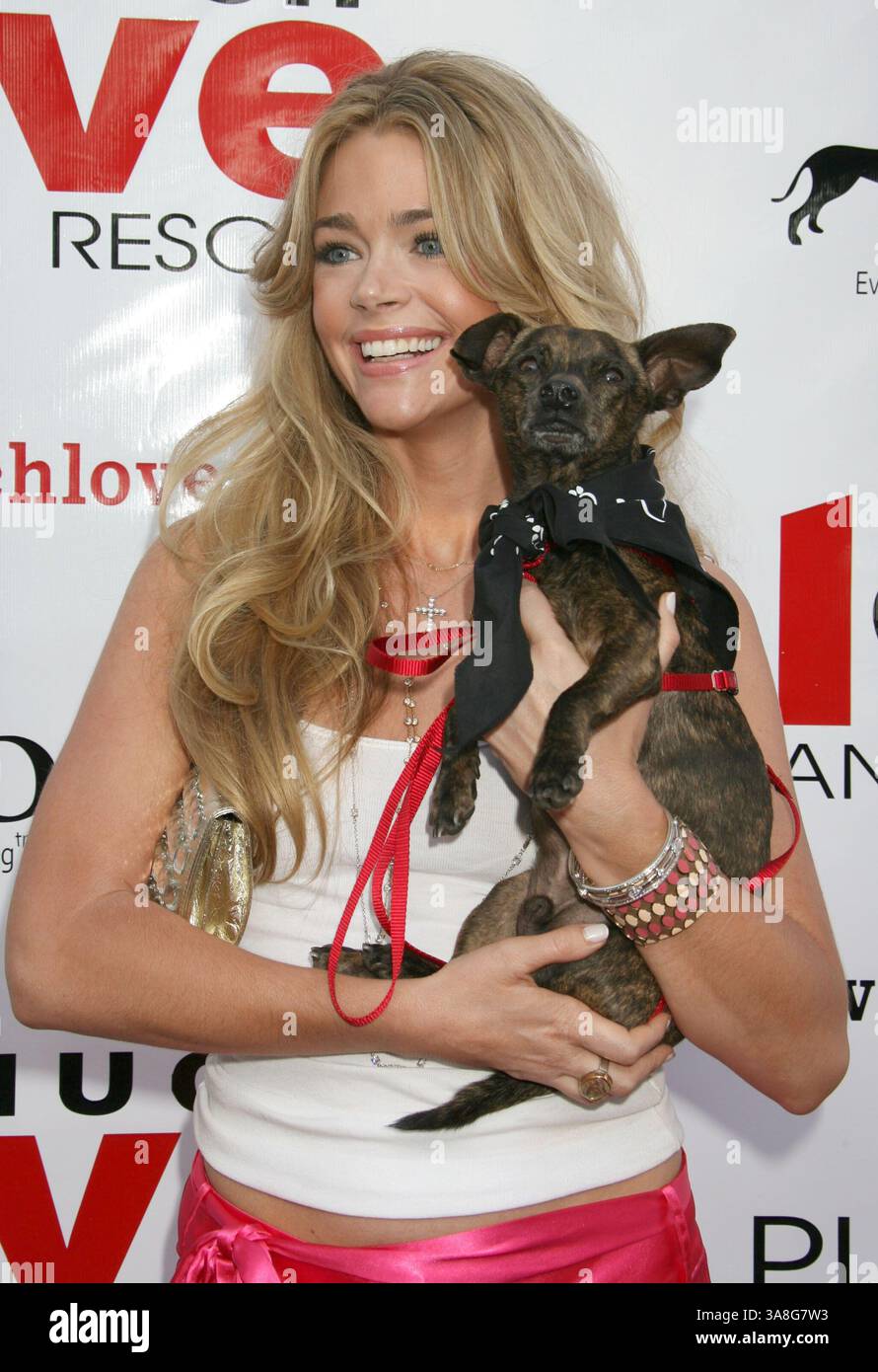 Denise richards playboy hi res stock photography and images Alamy