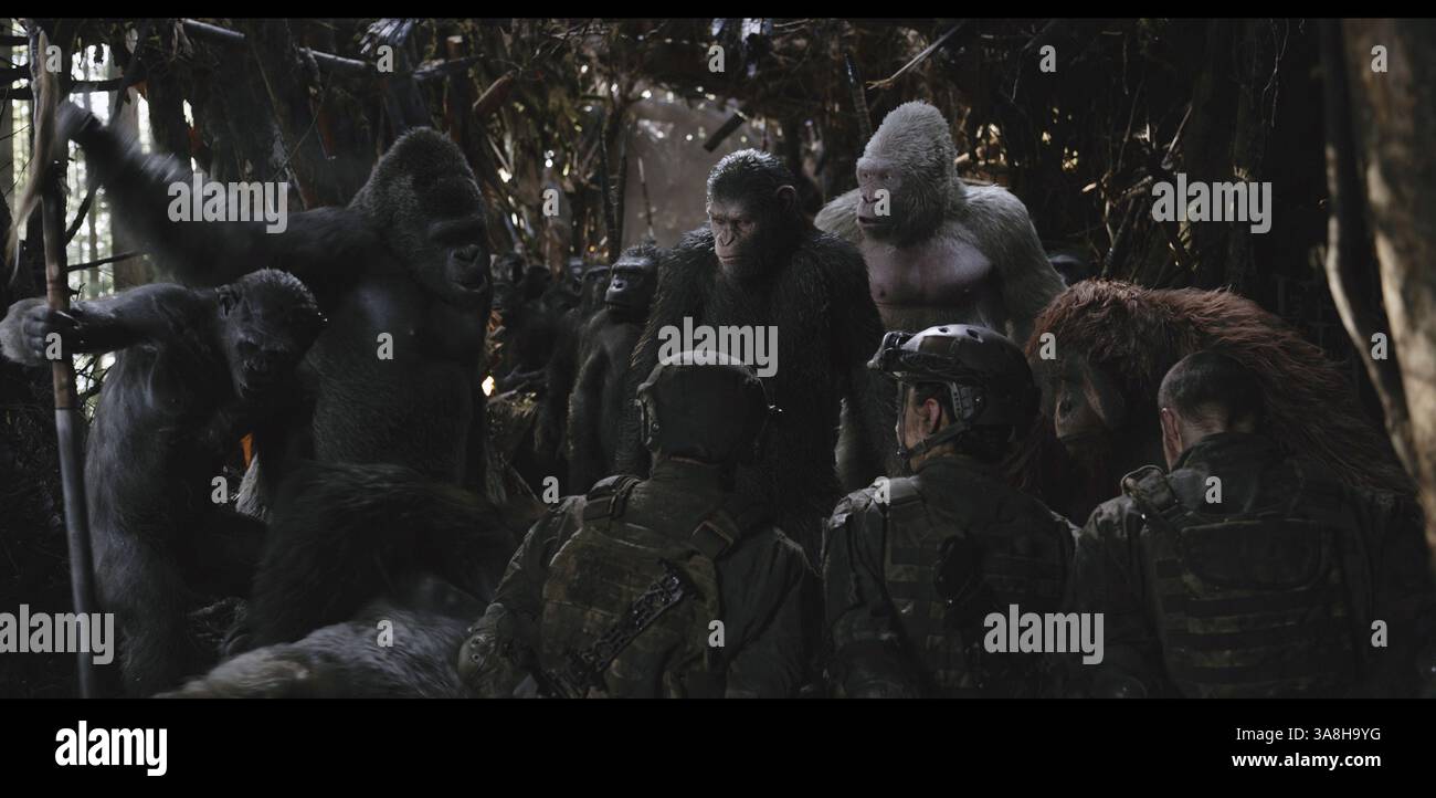 Michael adamthwaite hi-res stock photography and images - Alamy, image size:1300x722