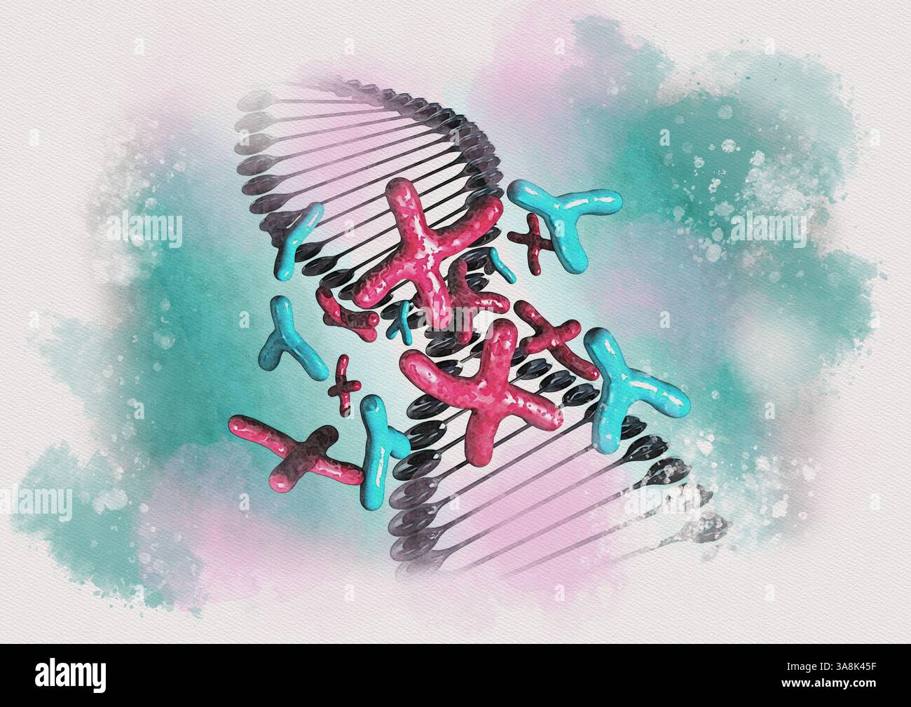 DNA with X and Y chromosomes, illustration Stock Photo - Alamy
