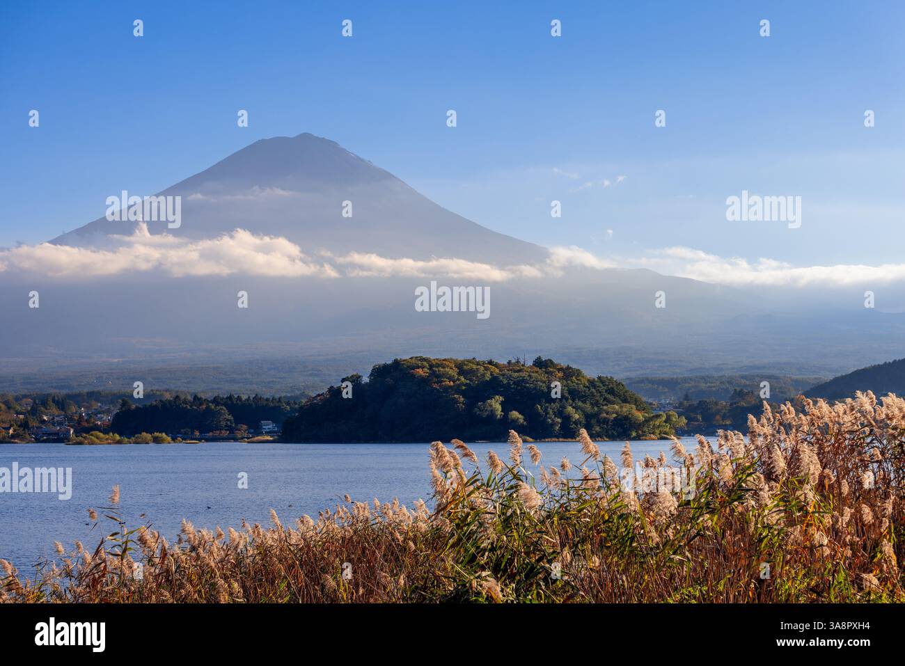 Mount Fuji peak rises above soft clouds in warm evening light. Vibrant ...