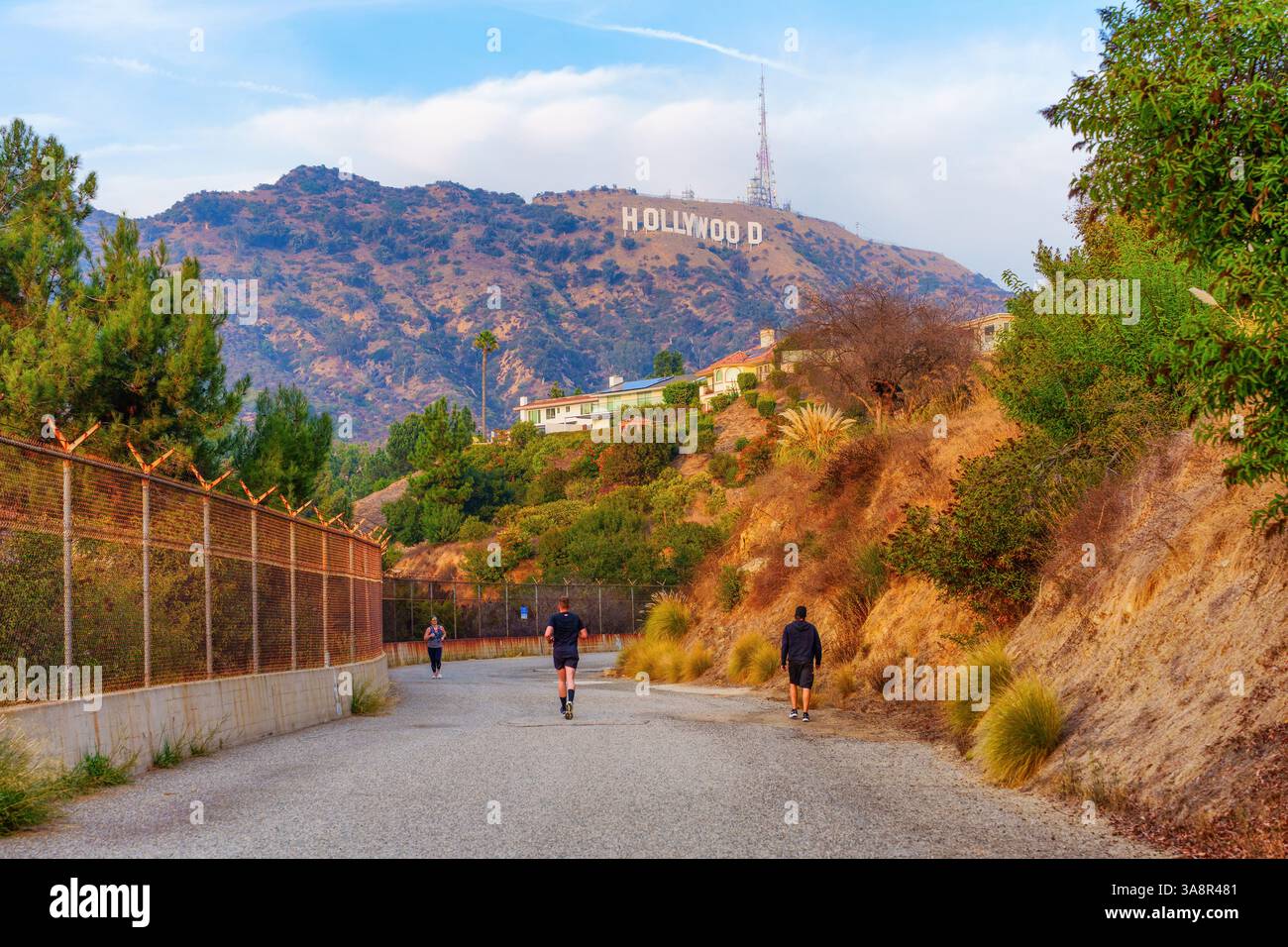 Los Angeles, California - January 5, 2025: Three individuals jog along a gravel path with lush greenery, framed by the iconic Hollywood Sign and surro Stock Photo