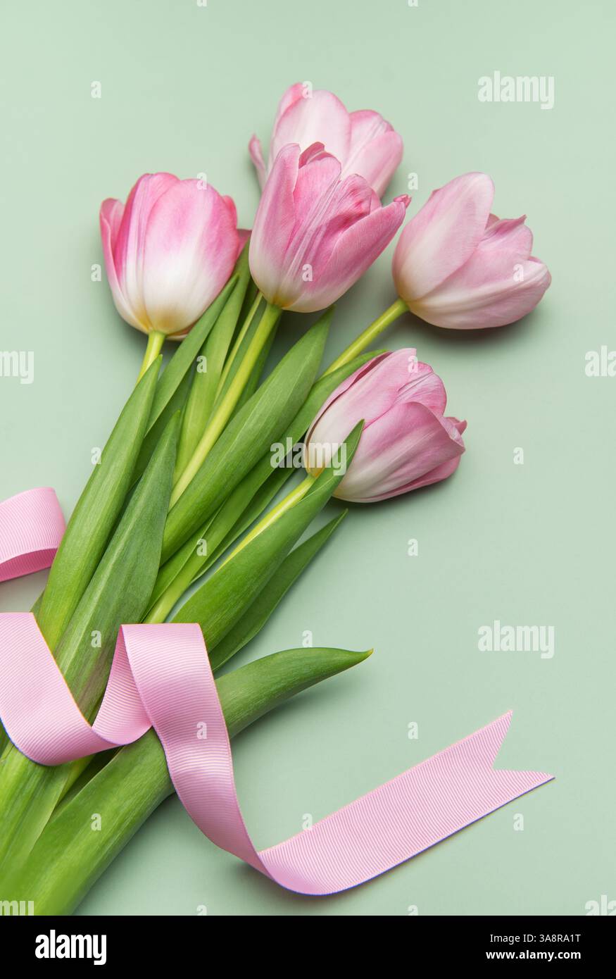 Bouquet of pink tulips tied with pink ribbon lying on pastel green ...