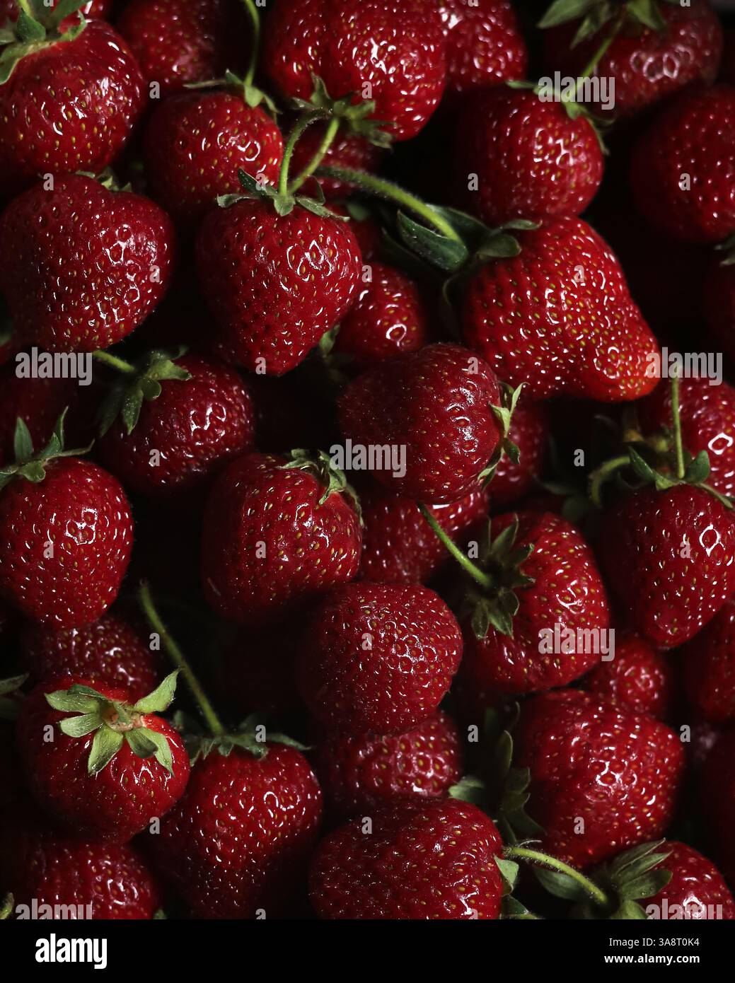 Artistic organic photography hi-res stock photography and images - Alamy