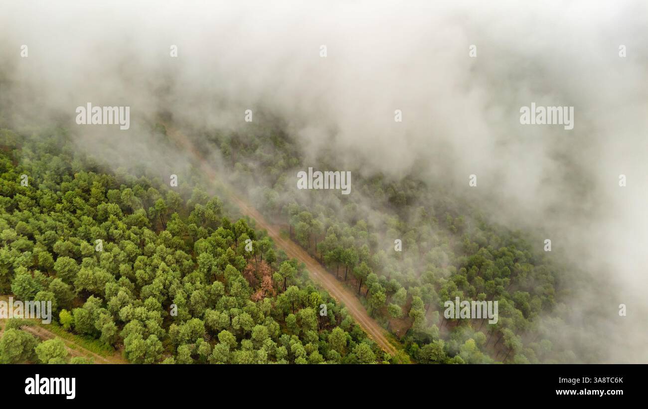 Aerial view thick fog covering hi-res stock photography and images - Alamy