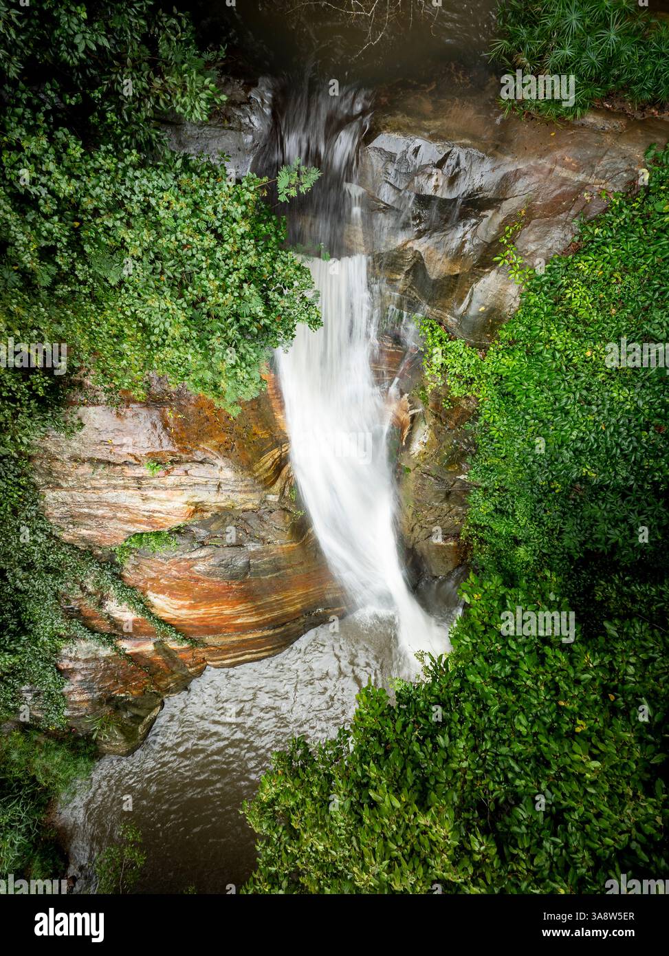The image captures the Secret Waterfall in Illukpelessa, Sri Lanka, surrounded by dense tropical greenery. Water cascades over rugged rocks into a tra Stock Photo