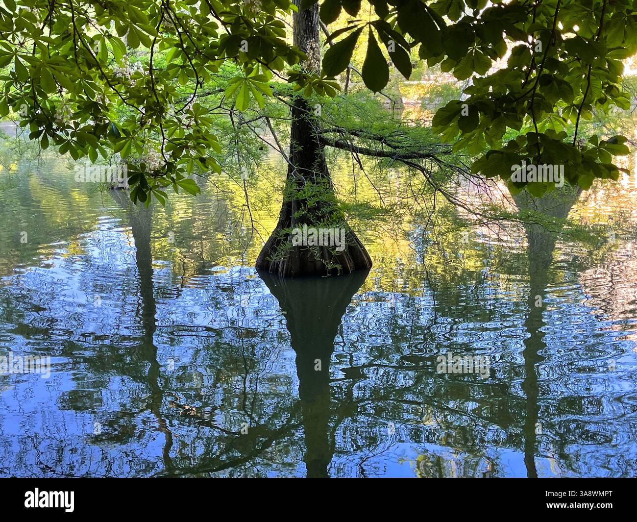 Pond of Cristal palace. El Retiro park, Madrid, Spain. - Smartphone Captured Stock Image