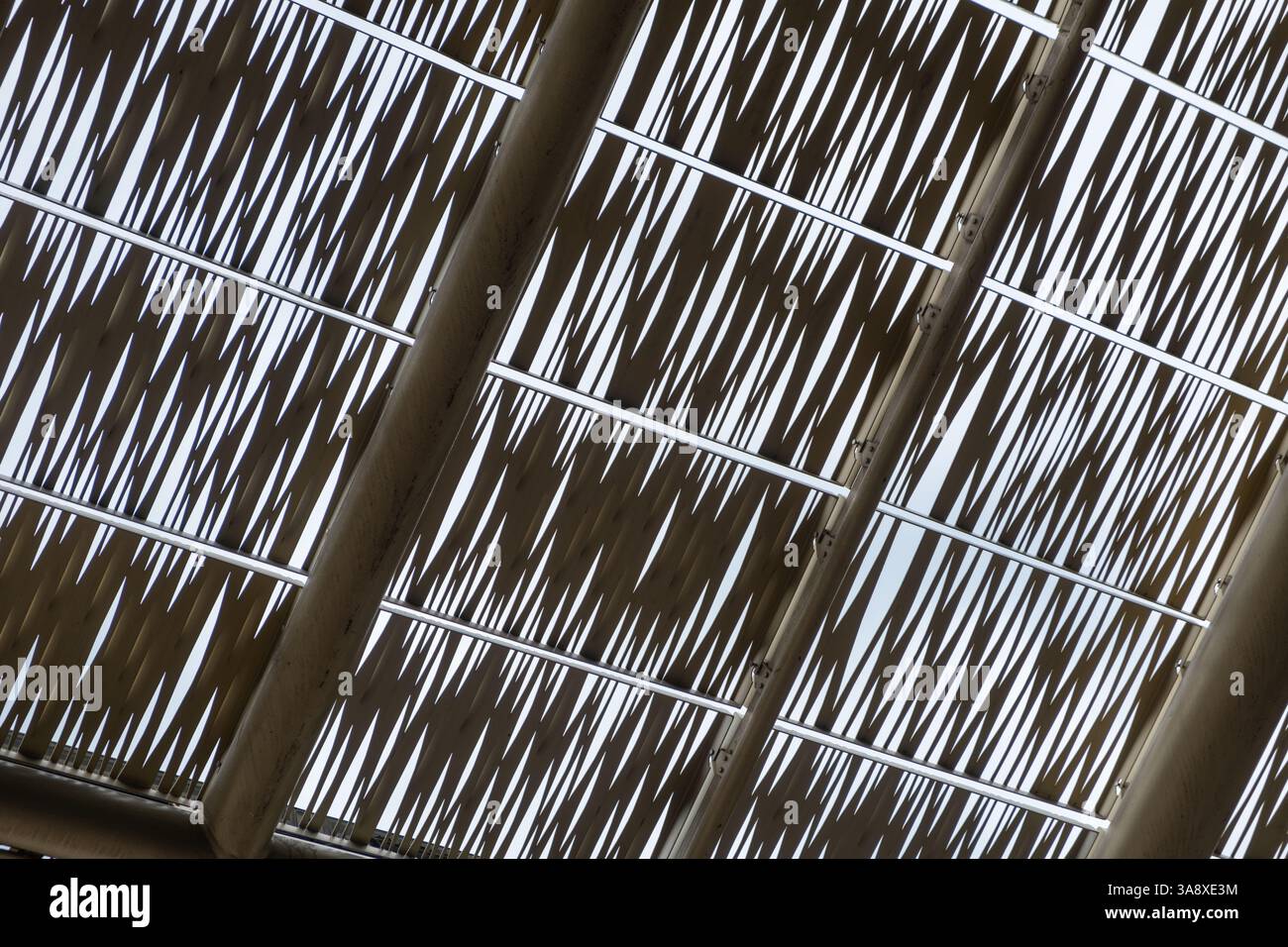 Decorative metal ceiling or roof structure featuring an intricate ...