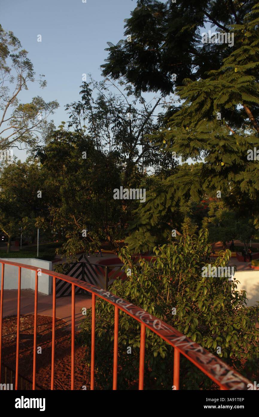Golden Hour Alchemy: Fall Leaves Frame a Graffiti-Tagged Playground at Guadalajara's Parque Rojo – Aerial View from Slide Reveals Nature. Stock Photo