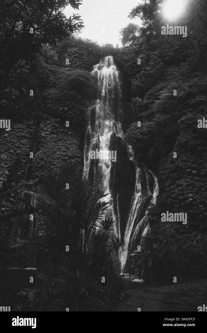 A high waterfall in a dense, tropical forest in black and white has a melancholic effect, Munduk, Indonesia, Asia Stock Photo
