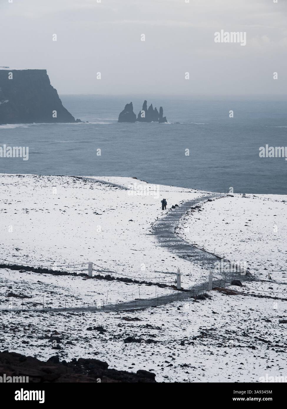 Snow-covered path winding towards the iconic sea stacks of Dyrhólaey ...