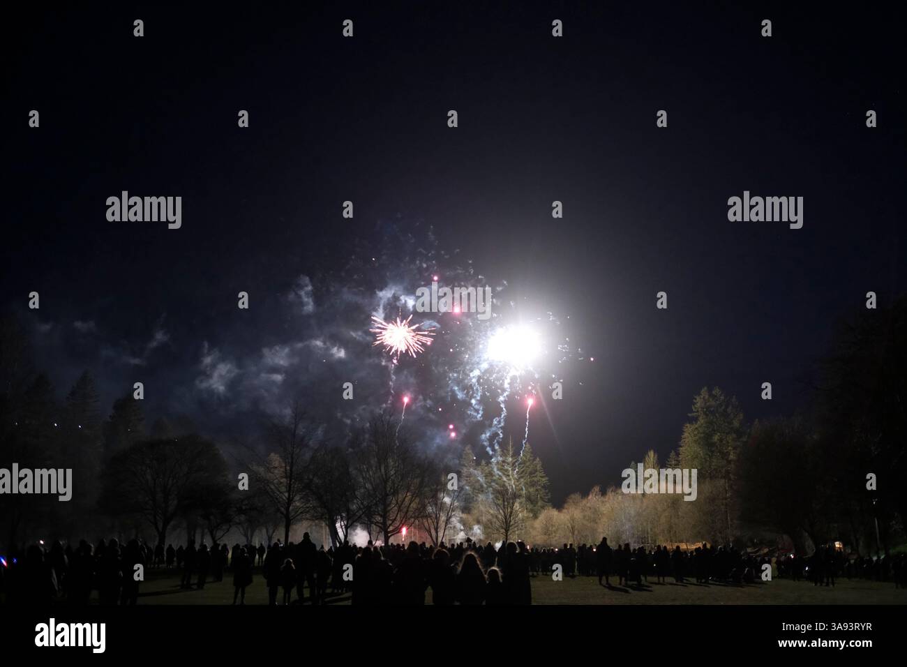Hawick, UK. 29th Mar, 2025. Hawick Reivers Festival, Fireworks Display On Saturday 29 March 2025 In Wilton Park. Image Credit: Rob Gray/Alamy Live News Stock Photo