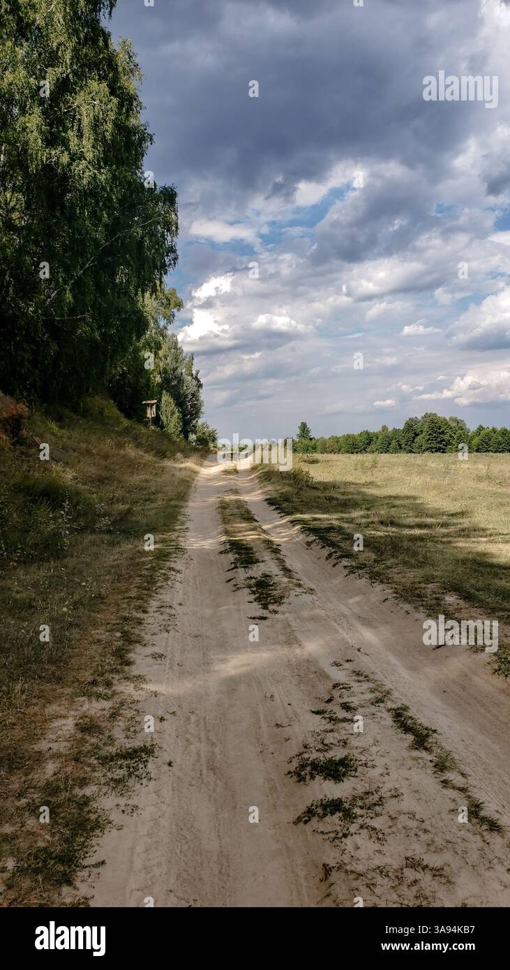 Rural dirt road through countryside landscape with trees, grassy fields and dramatic cloudy sky Stock Photo