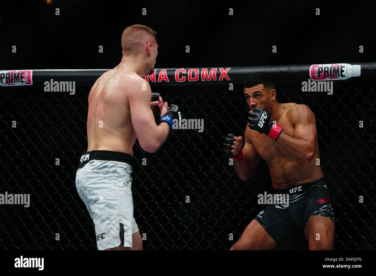 Mexico City, Mexico, United States. 29th Mar, 2025. MEXICO CITY, MEXICO - MARCH 29: Marquel Mederos and Austin Hubbard step into the octagon for a 3-round bout at UFC Fight Night - Moreno vs Erceg at Arena CDMX on March 29, 2025 in Mexico City, Mexico (Photo by Louis Grasse/PxImages) Credit: Px Images/Alamy Live News Stock Photo