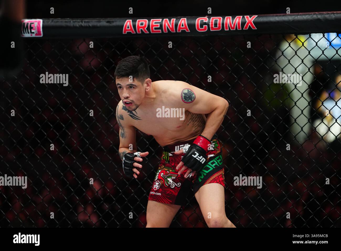 Mexico City, Mexico, United States. 29th Mar, 2025. MEXICO CITY, MEXICO - MARCH 29: Brandon Moreno and Steve Erceg meet in the octagon for a 5-round bout at UFC Fight Night - Moreno vs Erceg at Arena CDMX on March 29, 2025 in Mexico City, Mexico (Photo by Louis Grasse/PxImages) Credit: Px Images/Alamy Live News Stock Photo