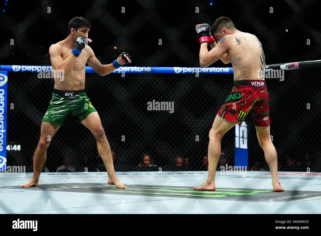 Mexico City, Mexico, United States. 29th Mar, 2025. MEXICO CITY, MEXICO - MARCH 29: Brandon Moreno and Steve Erceg meet in the octagon for a 5-round bout at UFC Fight Night - Moreno vs Erceg at Arena CDMX on March 29, 2025 in Mexico City, Mexico (Photo by Louis Grasse/PxImages) Credit: Px Images/Alamy Live News Stock Photo