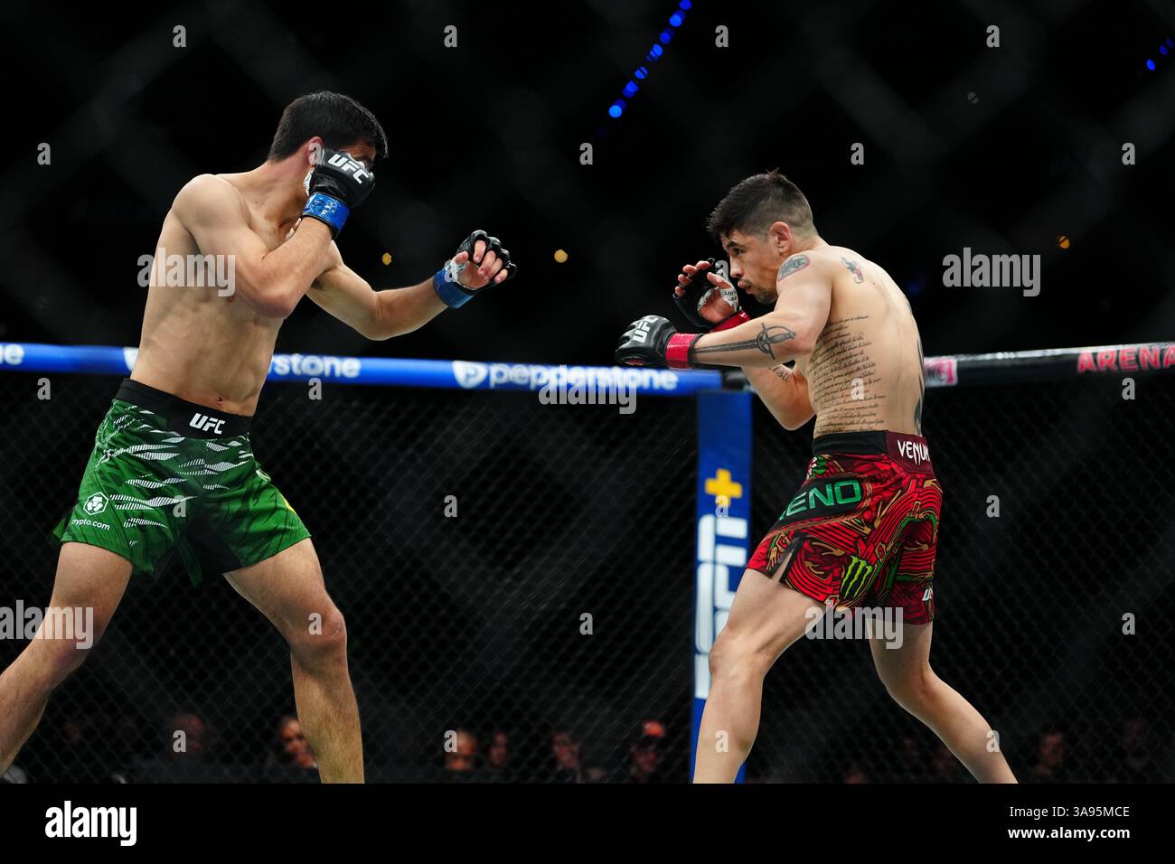 Mexico City, Mexico, United States. 29th Mar, 2025. MEXICO CITY, MEXICO - MARCH 29: Brandon Moreno and Steve Erceg meet in the octagon for a 5-round bout at UFC Fight Night - Moreno vs Erceg at Arena CDMX on March 29, 2025 in Mexico City, Mexico (Photo by Louis Grasse/PxImages) Credit: Px Images/Alamy Live News Stock Photo