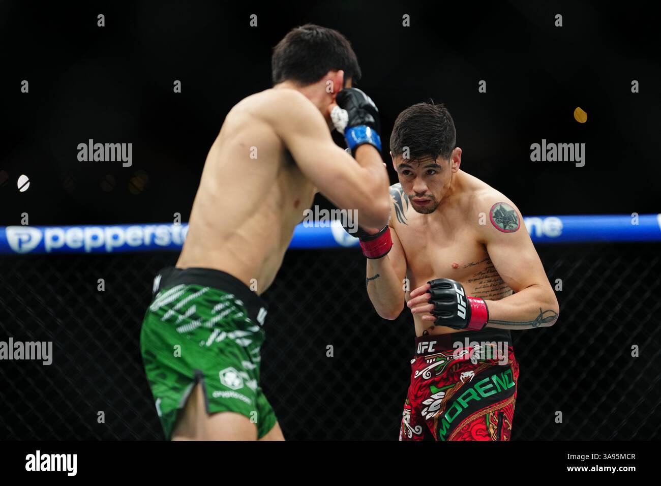 Mexico City, Mexico, United States. 29th Mar, 2025. MEXICO CITY, MEXICO - MARCH 29: Brandon Moreno and Steve Erceg meet in the octagon for a 5-round bout at UFC Fight Night - Moreno vs Erceg at Arena CDMX on March 29, 2025 in Mexico City, Mexico (Photo by Louis Grasse/PxImages) Credit: Px Images/Alamy Live News Stock Photo