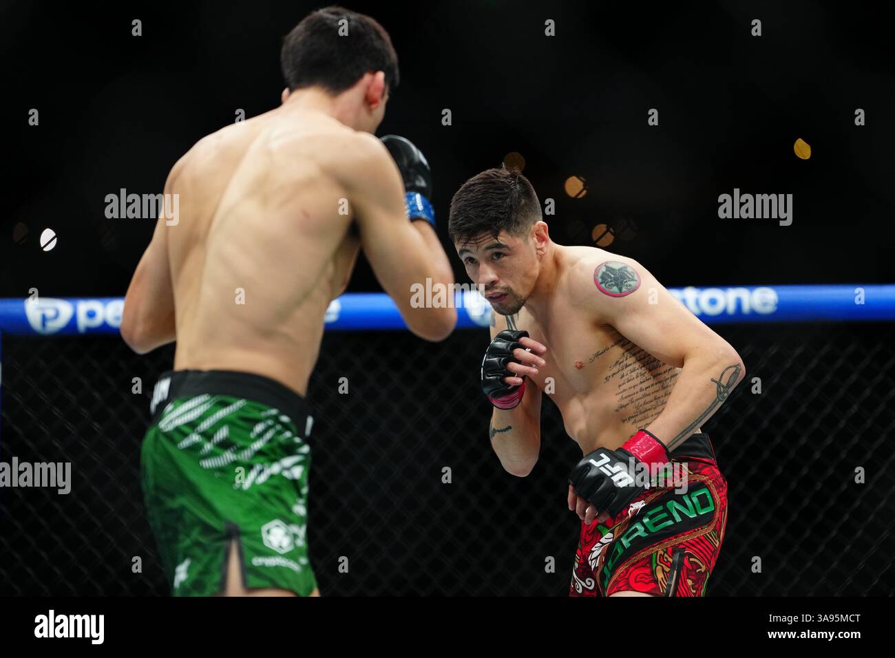 Mexico City, Mexico, United States. 29th Mar, 2025. MEXICO CITY, MEXICO - MARCH 29: Brandon Moreno and Steve Erceg meet in the octagon for a 5-round bout at UFC Fight Night - Moreno vs Erceg at Arena CDMX on March 29, 2025 in Mexico City, Mexico (Photo by Louis Grasse/PxImages) Credit: Px Images/Alamy Live News Stock Photo