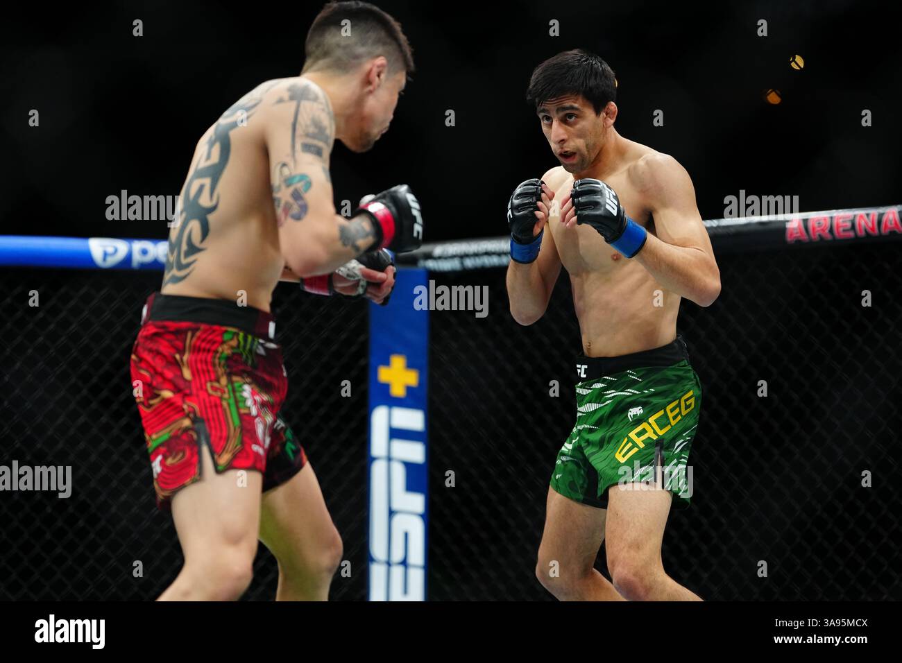 Mexico City, Mexico, United States. 29th Mar, 2025. MEXICO CITY, MEXICO - MARCH 29: Brandon Moreno and Steve Erceg meet in the octagon for a 5-round bout at UFC Fight Night - Moreno vs Erceg at Arena CDMX on March 29, 2025 in Mexico City, Mexico (Photo by Louis Grasse/PxImages) Credit: Px Images/Alamy Live News Stock Photo