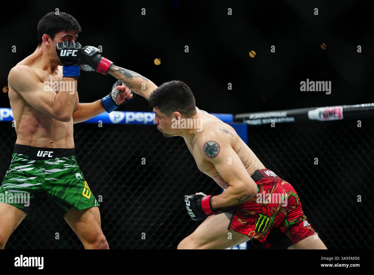 Mexico City, Mexico, United States. 29th Mar, 2025. MEXICO CITY, MEXICO - MARCH 29: Brandon Moreno and Steve Erceg meet in the octagon for a 5-round bout at UFC Fight Night - Moreno vs Erceg at Arena CDMX on March 29, 2025 in Mexico City, Mexico (Photo by Louis Grasse/PxImages) Credit: Px Images/Alamy Live News Stock Photo