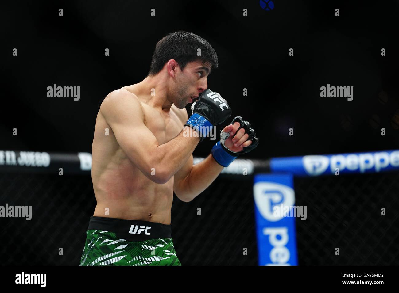 Mexico City, Mexico, United States. 29th Mar, 2025. MEXICO CITY, MEXICO - MARCH 29: Brandon Moreno and Steve Erceg meet in the octagon for a 5-round bout at UFC Fight Night - Moreno vs Erceg at Arena CDMX on March 29, 2025 in Mexico City, Mexico (Photo by Louis Grasse/PxImages) Credit: Px Images/Alamy Live News Stock Photo